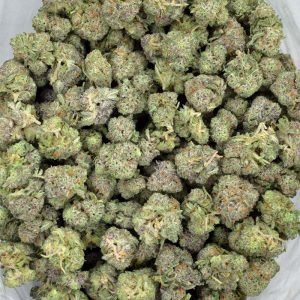 Cactus Breath (AAA) Smalls