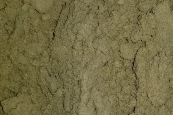 Kief